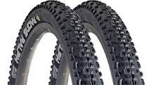Schwelbe Race ralph EVO